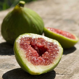 fichi-freschi